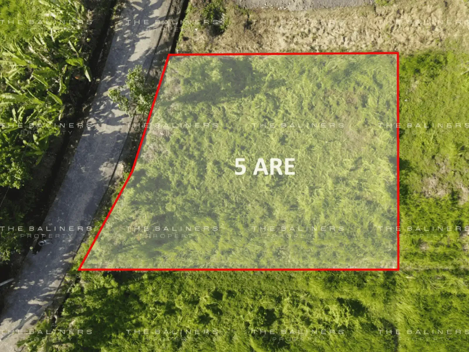 COMMERCIAL LAND OPPORTUNITY IN KEDUNGU, TABANAN