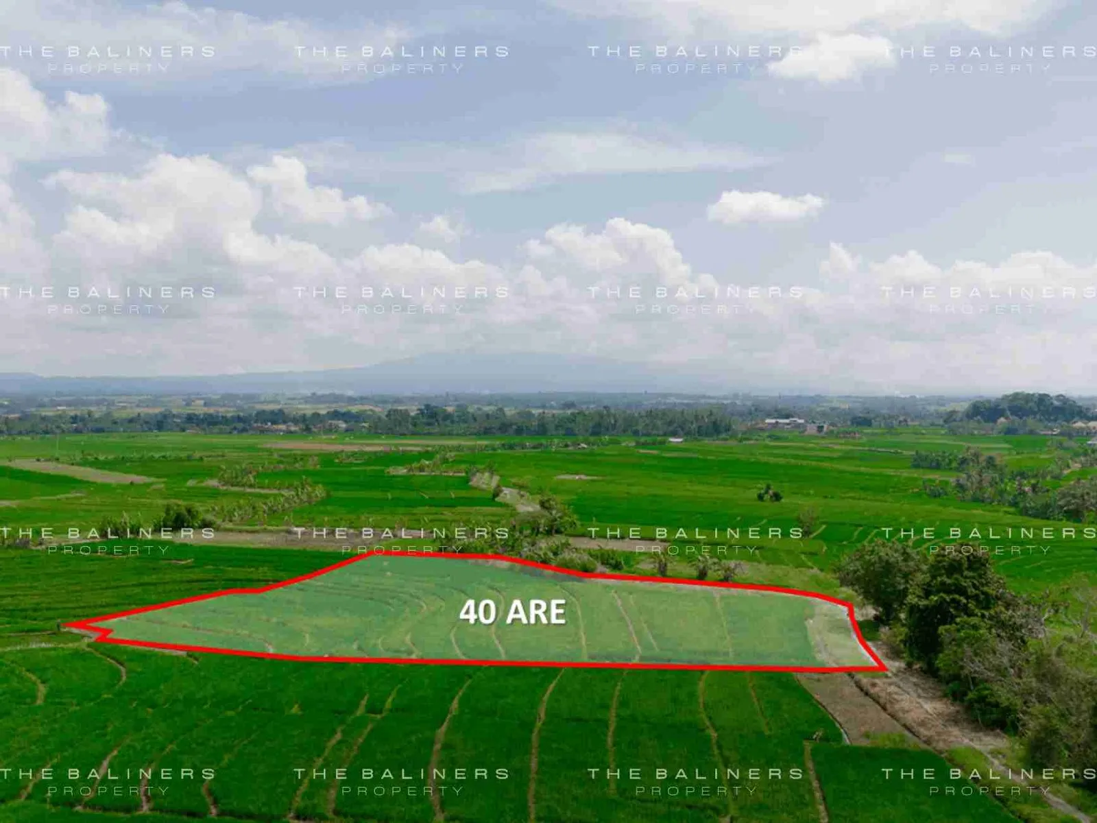 RARE INVESTMENT OPPORTUNITY IN BALI’S GREEN BELT, 40 ARE FREEHOLD LAND