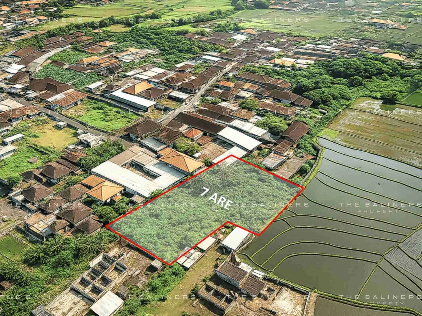 SERENE RICE FIELD VIEW LAND IN BUDUK WITH DEVELOPMENT POTENTIAL